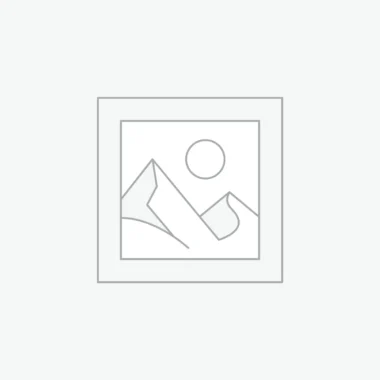 Precious Peach Tulips